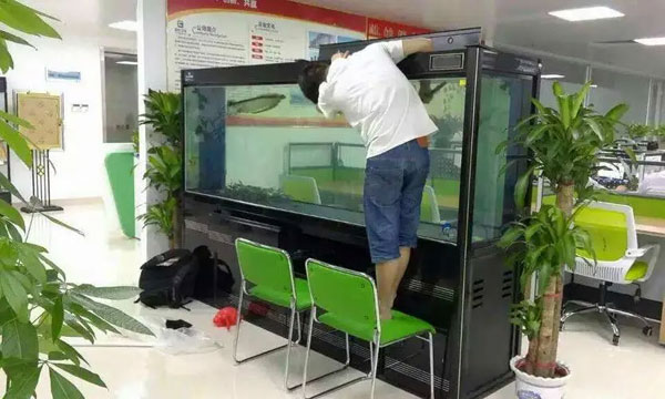 合肥鱼缸清洗